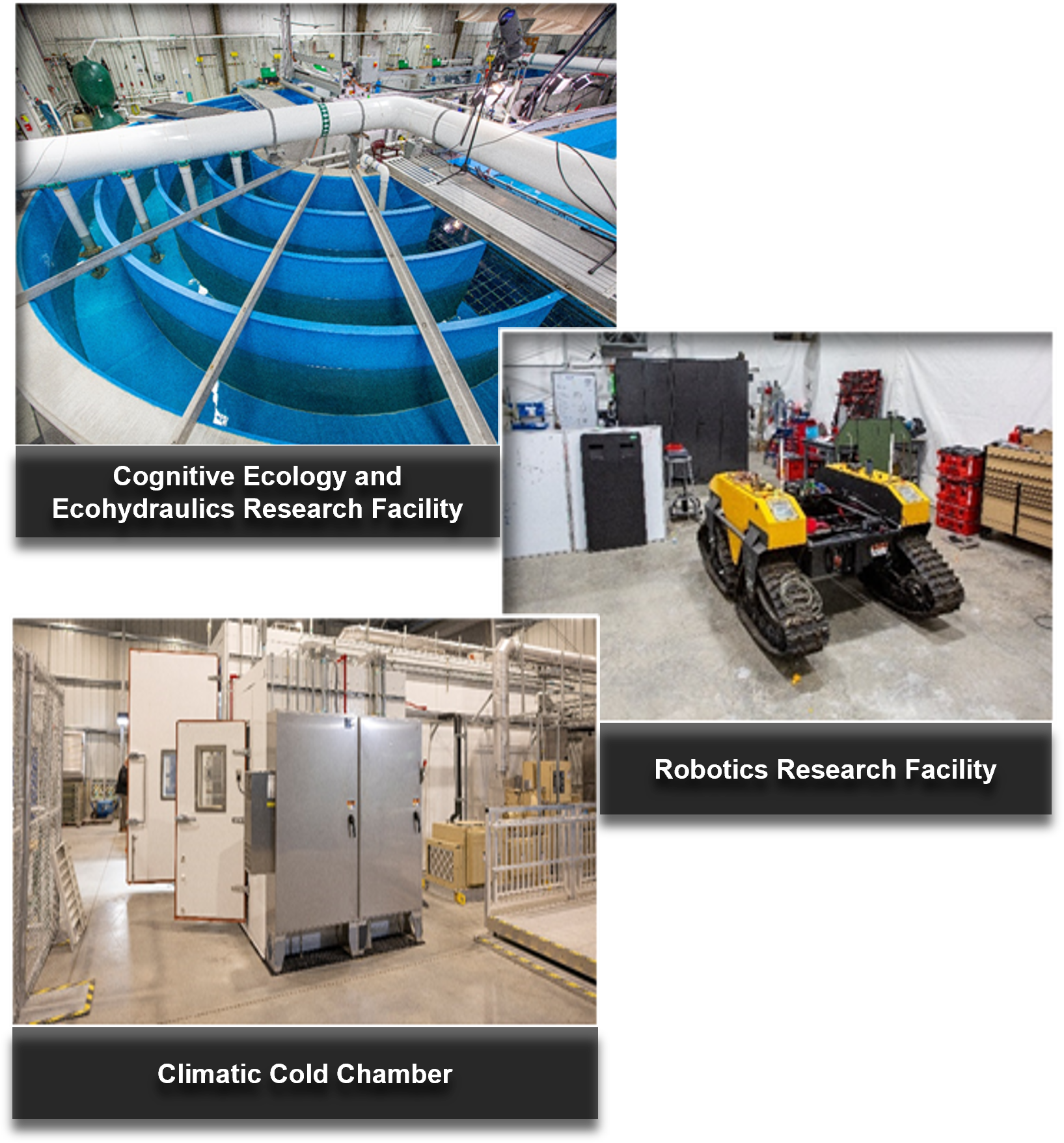 Laboratory